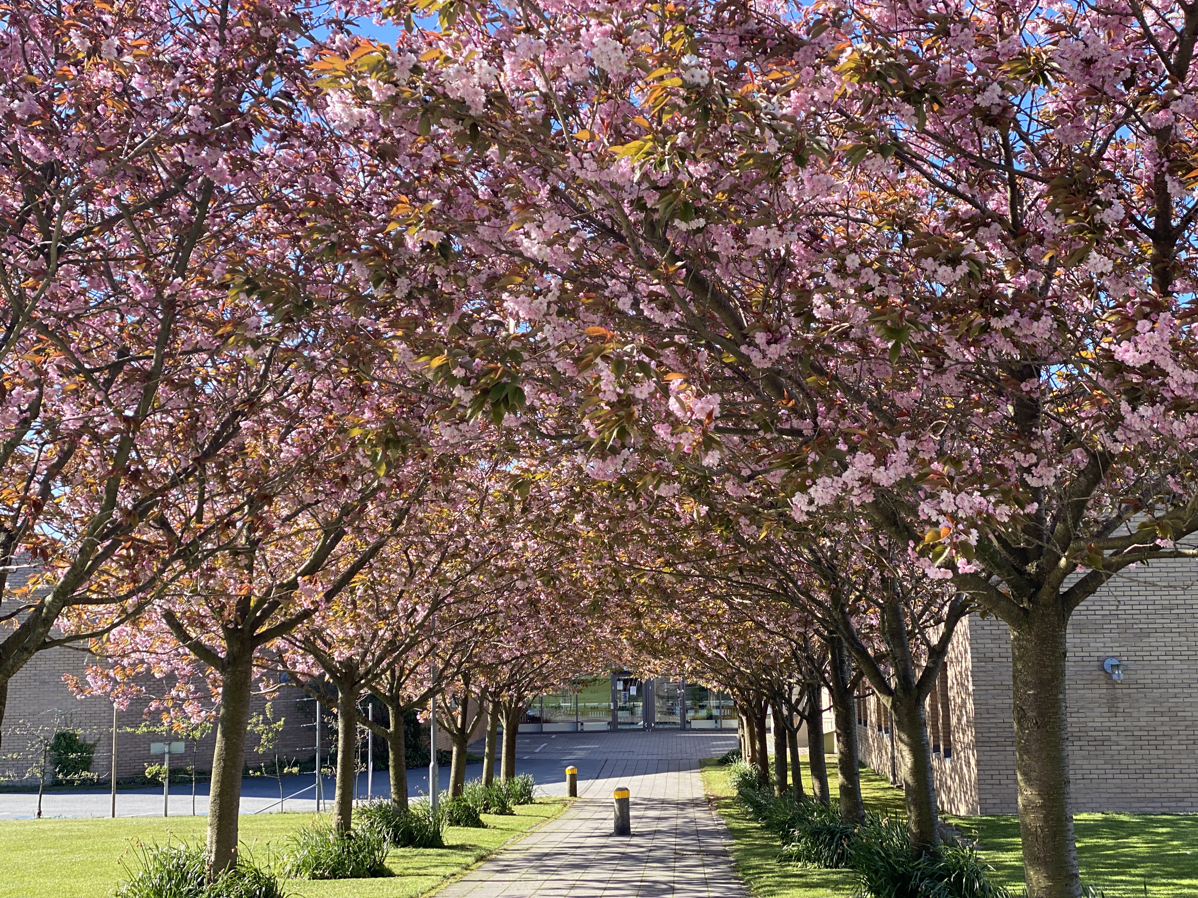 Ullandhaug campus