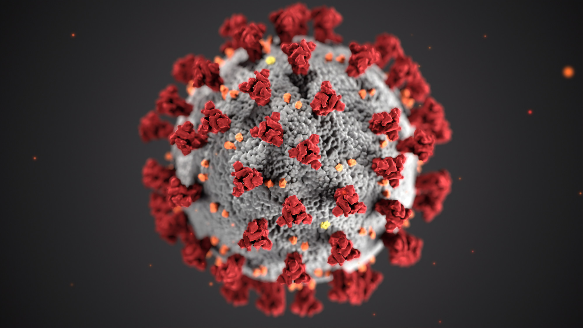 koronavirus illustrasjon