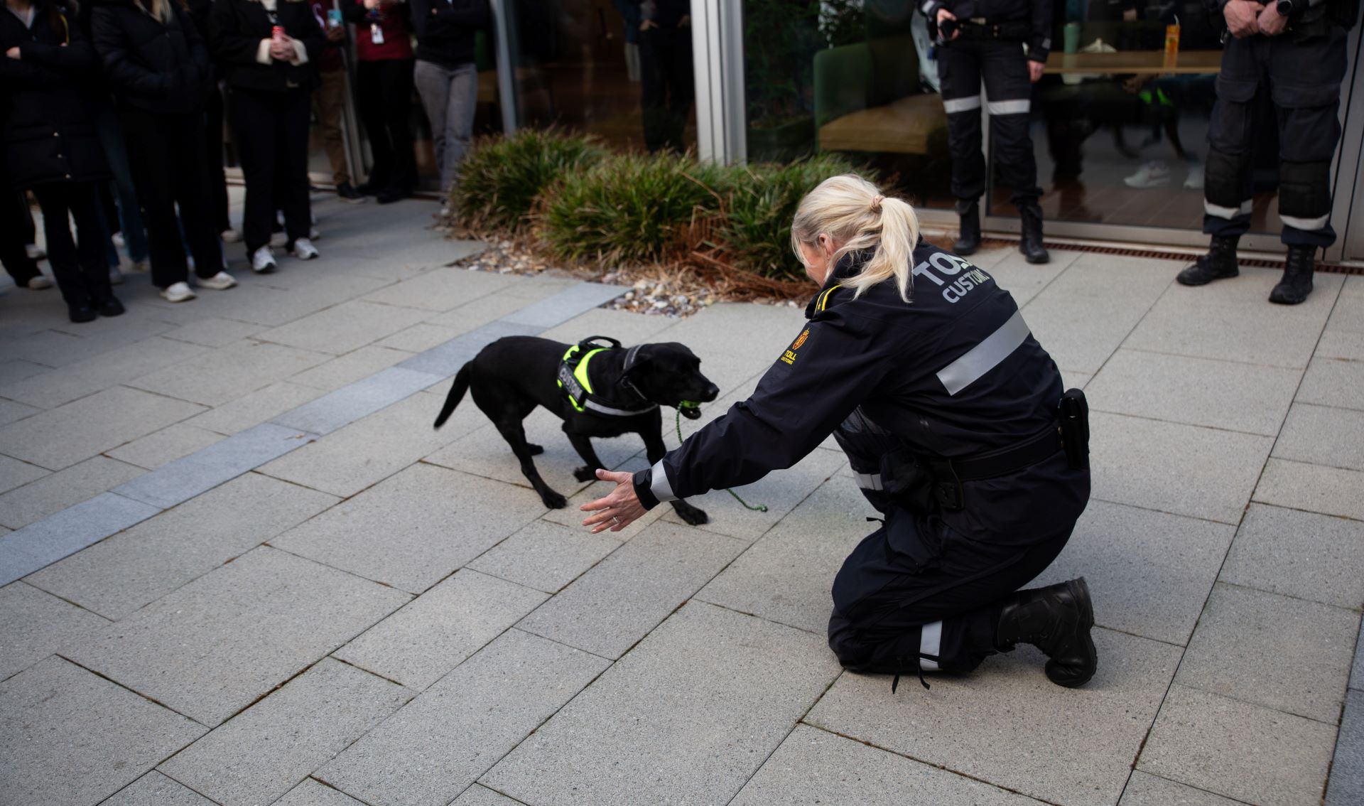 Hund og kvinne fra Tolletaten. Personer står i ring rundt. 