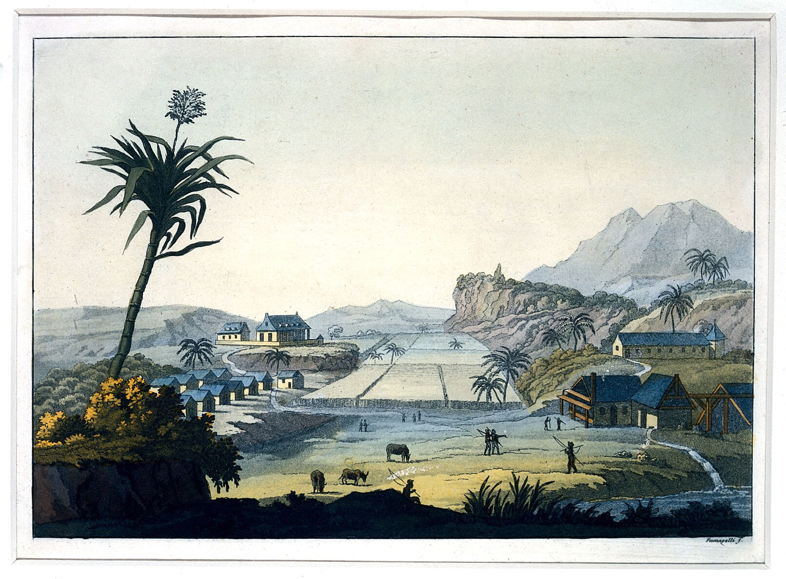 A sugar plantation in Jamaica