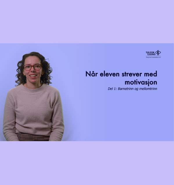 skjermdump fra webinar Aline snakker
