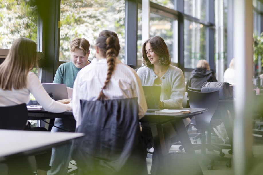 bibliotek studenter