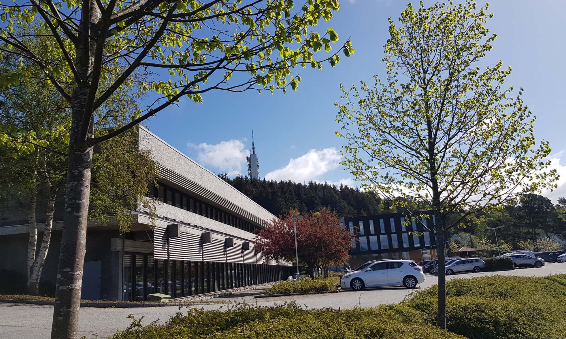 Institutt for grunnskolelærer, idrett og spesialpedagogikk