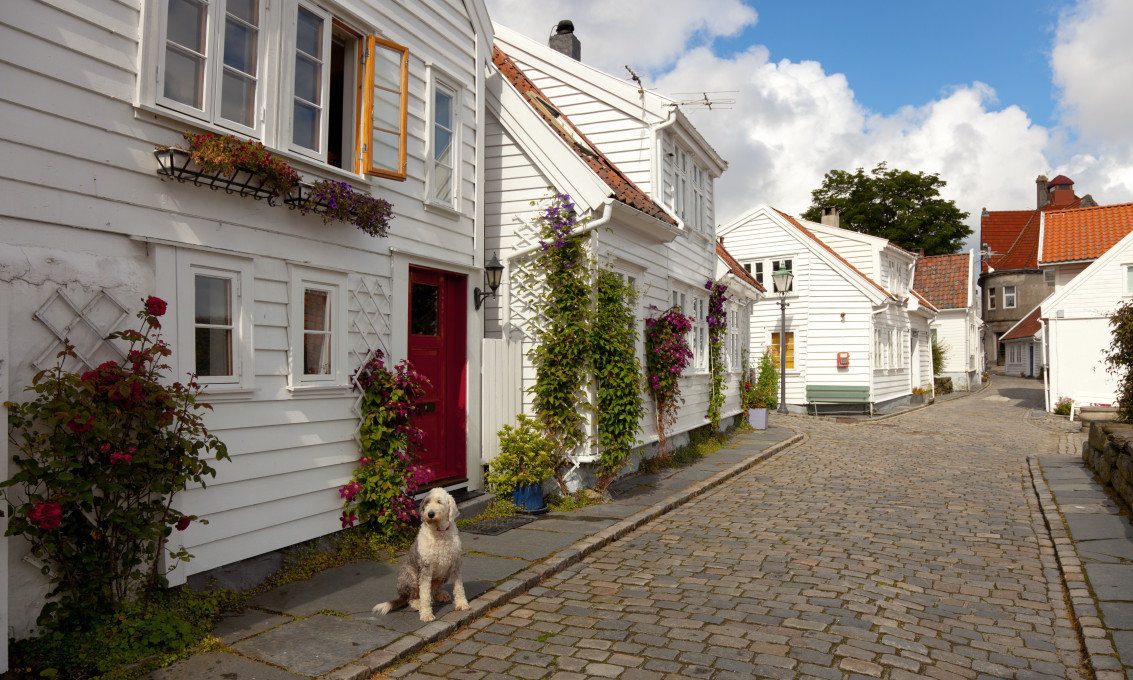 Opplev byen og kulturen