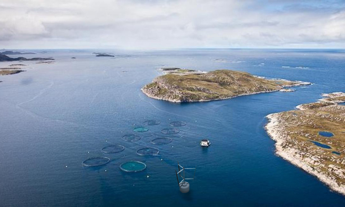 More sustainable breeding of salmon