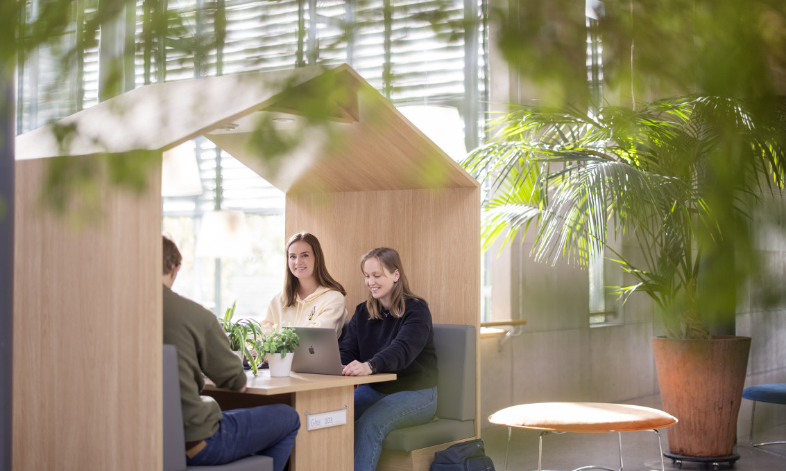 MScBA Major in Management
