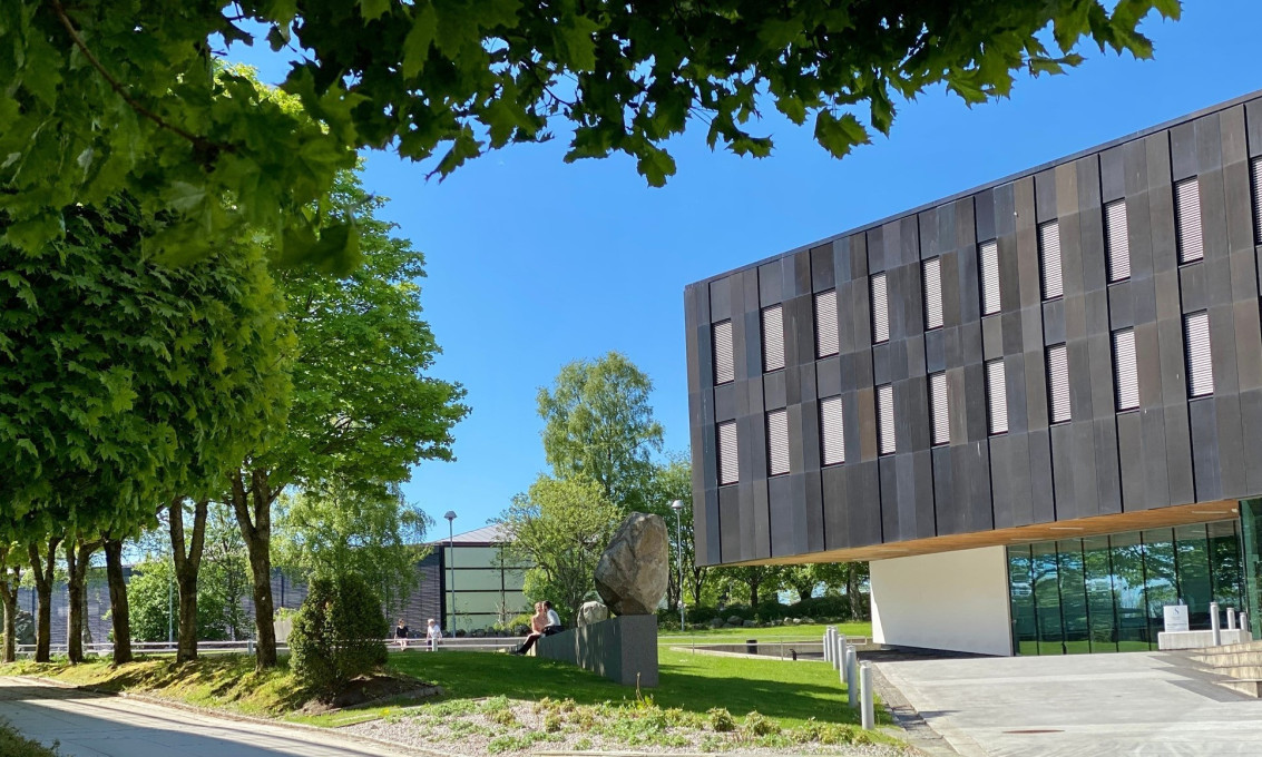 Institutt for medie- og samfunnsfag