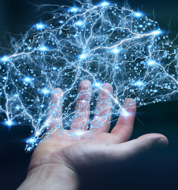 The cognitive lab
