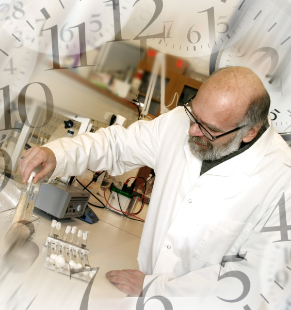 Cellular metabolism and circadian systems