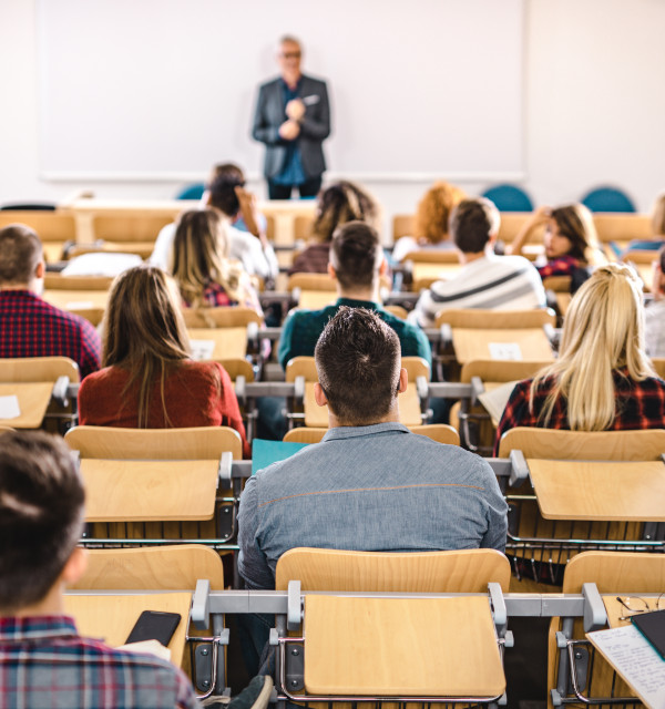 Interested in our undergraduate programmes