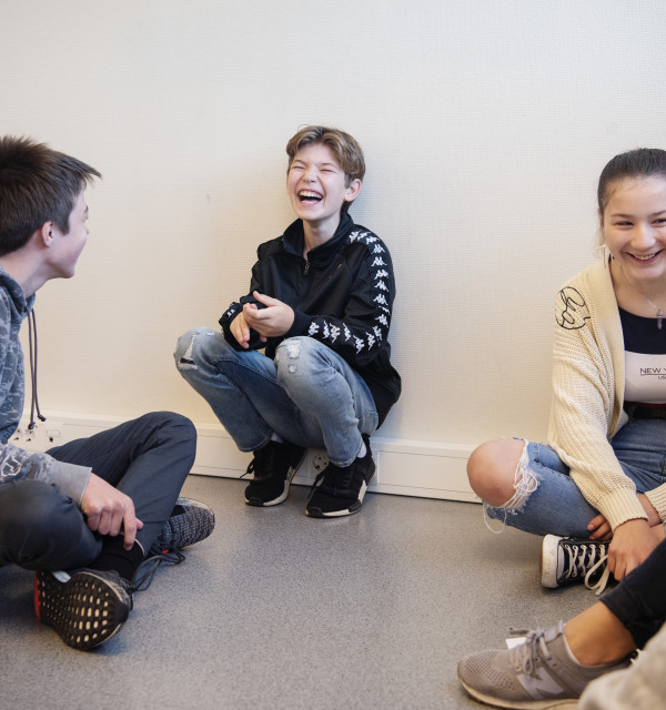 Kompetanseheving for kontrollgruppen