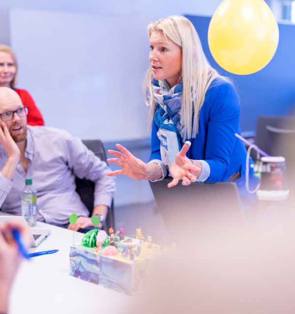 Master i transformasjon og nyskaping
