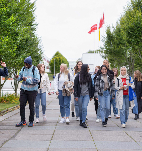 Linjeforeiningar og studentorganisasjonar