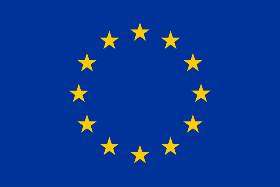 Blue square with 12 yellow stars sentered, forming a circle